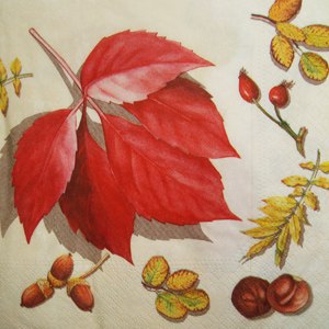 Cалфетка для декупажа
ГО324